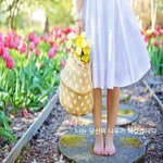 [좋은글귀] 나는 당신의 나무가 되겠습니다