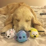 언니 오빠들 미성년자랑 연애는 <b>무리</b>인가요