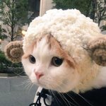 [댓글부탁해] 너넨 바라는 연애 같은 거 있냐ㅠㅠ