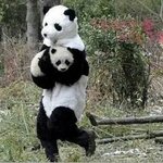 [댓글부탁해] 너네 <b>인덱스</b> 어떻게 써??