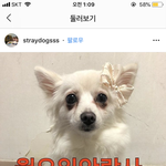 진짜 안타까운데 좀 봐주라ㅠㅠㅜㅜㅜ