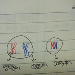 [댓글부탁해] 중3 과학 <b>세포</b>부분 도와주라 ㅜㅜ