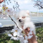 [댓글부탁해] 정씨인데 개명할 이름 좀 골라줘ㅠㅠ