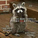 학원가기전에 잠깐 나가야되는데 츄반