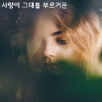 [너가봤으면] 사랑이 그대를 부르거든