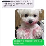 나 중2인데 대체 국어공부 어케함