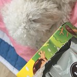 지금 우리 몽몽이 자는데