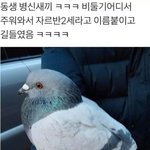 [댓글부탁해] 내일 고백<b>데이</b>에