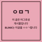 ⭐️블링크들⭐️억울하지만 이제 깊갤얘기 그만<b>하자</b>