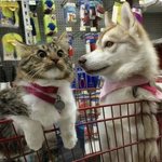 나 답댓 <b>알람이</b> 안옴