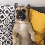 이제<b>벌초</b>끝났다