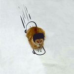 [조언부탁해] 중2가 나 좋아하는데...