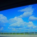 별로 안 유명한 <b>명화</b>