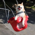 너네 이거 <b>민망</b>하지않냐