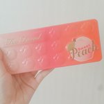 [드루와] 미국에서 파는 <b>피치</b>팔레트 샀당