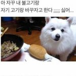 [댓글부탁해] 얼굴 <b>평타</b>에다 퉁퉁한 여자애 인기많은건무ㅓ임?