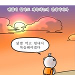 [드루와] 렌즈살건데 어디꺼 뭐살까