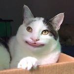 [드루와] 다이어트 한다