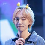 [위너] 병아리<b>지누</b>