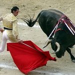 [NCT] 근데 투우사 진짜 그럴듯한게