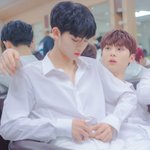 [댓글부탁해] 너네 무슨<b>쿠션</b>써?