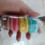 골든<b>햄스터</b>vs그냥<b>햄스터</b>
