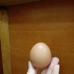 영롱한 삶은 <b>달걀</b>