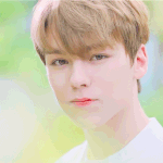 [댓글부탁해] 판에 머단한 <b>버논</b> 안티 하나 있나봄