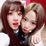 [드루와] 이런 친구 있으면 좋다 싫다 추반