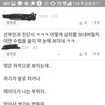 구하라 디스패치 기사에 대한 보배ㄷㄹ 이중성