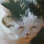 짝남 다른 여자애랑 연락하는 거 봤는데 <b>개질투</b>나 ㅋㅋㅋ