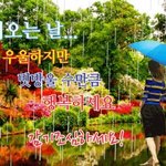 아이폰8 골드 케이스 <b>뭔색</b>살까??