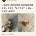 안유명한 대학생<b>유투</b>버 추천해주라