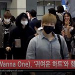 [황민현] 비하인드 황민현 오늘 공항 입국 수고했어 하트주자~