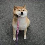 [개깊은빡침] 방탄이랑 작업 중단한 일본 작사가가