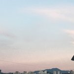 곧 가을인데 다이어트 <b>팁</b> <b>공유</b>하자∩^ω^∩