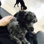 [EXO] 먹물<b>후추</b> 잘지내냐...