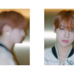 [NCT] 컨포보다 보너스사진 느낌