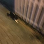 [댓글부탁해] 하복 <b>셔츠</b>도 줄일 수 있음?????