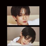 [워너원] 다녤이랑 대휘랑 지녕이