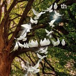 남북정상회담 성공기원! HWPL의 <b>DPCW</b> 10조 38항으로 평화하자!