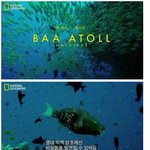 [<b>명랑</b>엽떡] 몰디브 섬들의 비밀