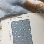 엄마가 <b>담요</b> 사오셨는뎅
