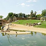 <b>동물원</b> 폐지