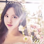 트와이스 9명 웨딩 드레스