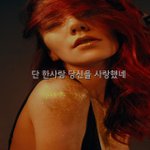 단 한사람. 당신을 사랑했네..,.