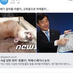 <b>퓨마</b> 호롱이 박제될 수도 있대
