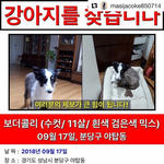 <b>이</b><b>강아지</b>누군데 연예인들이올리는거임?