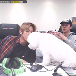 [EXO] <b>변백현</b> 미쳤다;