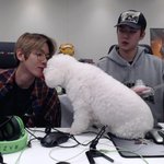 [EXO] 오비비한테 뽀뽀<b>시도</b>하는 백현과 그걸 바라보는 비비아범